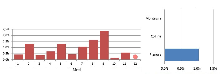 spatola_grafici.jpg