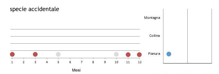 strmag_grafici.jpg