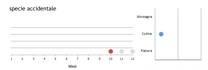 torgol_grafici.jpg