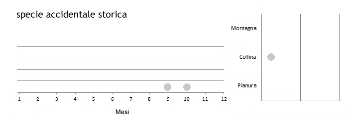 torori_grafici.jpg