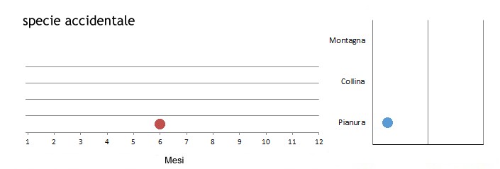 totzamin_grafici.jpg
