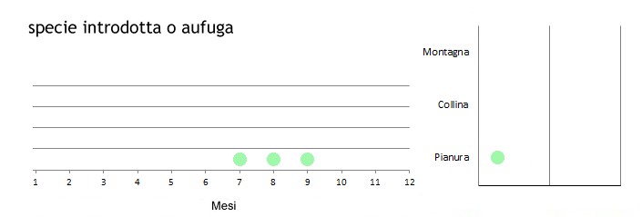 vesdor_grafici.jpg