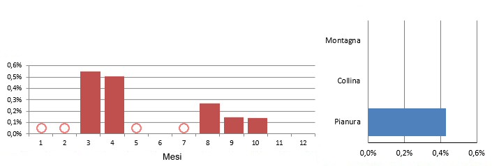 voltolino_grafici.jpg