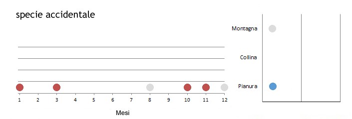 zigmin_grafici.jpg