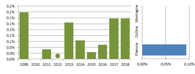 airsch_grafici.jpg