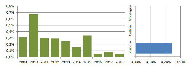 albastrello_grafici.jpg