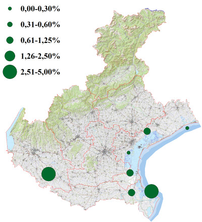 albastrello_veneto.jpg