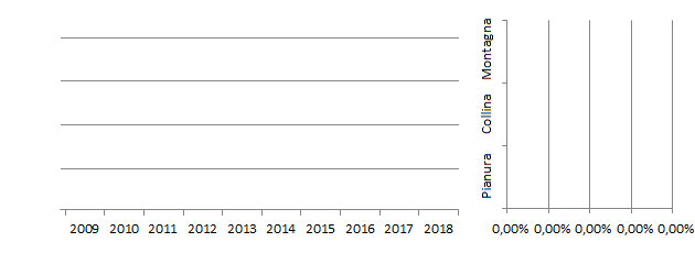 allgol_grafici.jpg