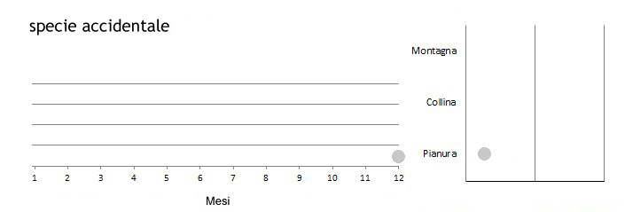 alzame_grafici.jpg