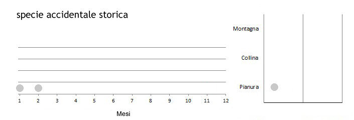 alzasi_grafici_old.jpg