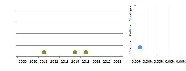 ararauna_grafici.jpg