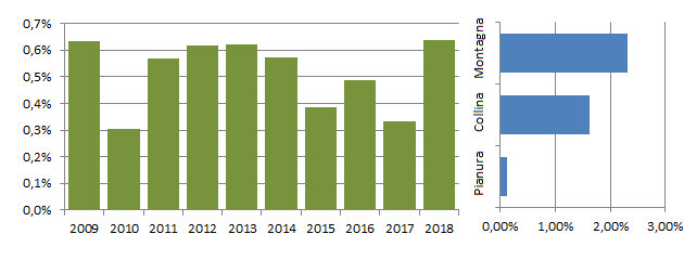 astore_grafici.jpg