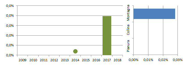 avvmon_grafici.jpg