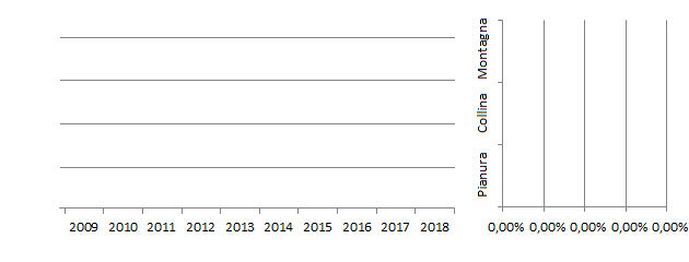 bencom_grafici.jpg