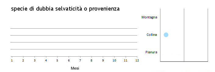 bigdir_grafici.jpg