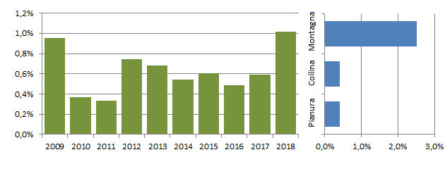 bigiare_grafici.jpg