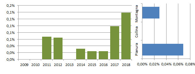 calopsitta_grafici.jpg