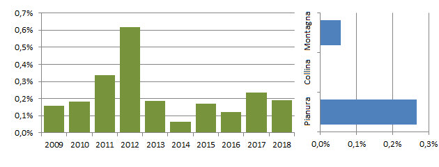 canapmag_grafici.jpg