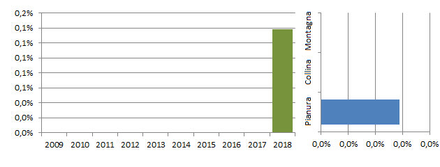 canapalor_grafici.jpg