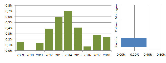 casarca_grafici.jpg