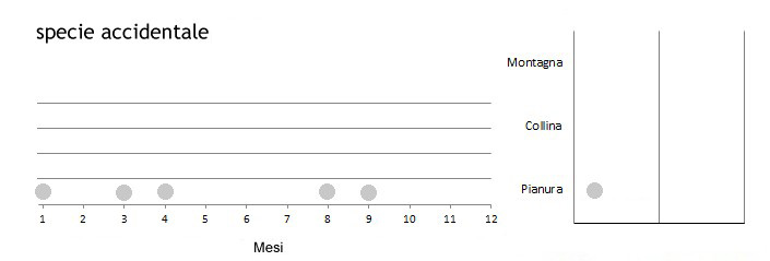 chiurlottello_grafici.jpg