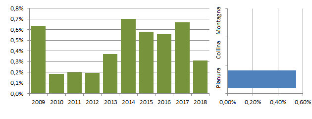 cigner_grafici.jpg