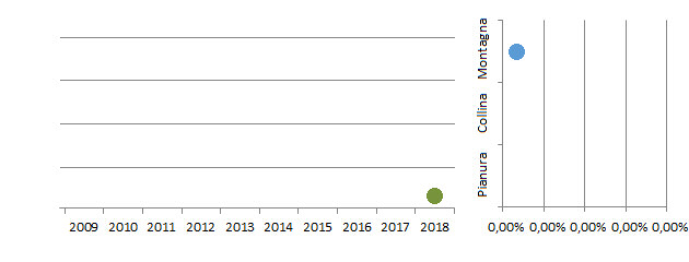 codazz_grafici.jpg