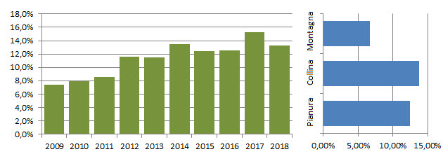 codibu_grafici.jpg