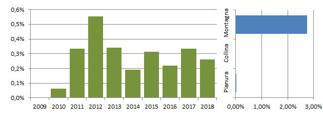 codirossone_grafici.jpg