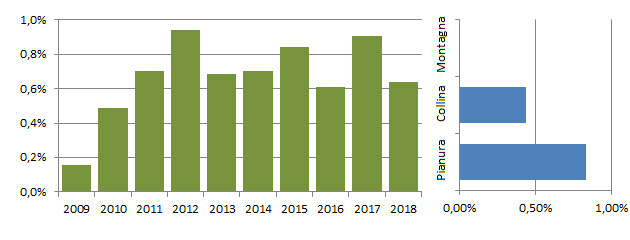 codone_grafici.jpg