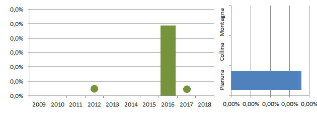 coldec_grafici.jpg