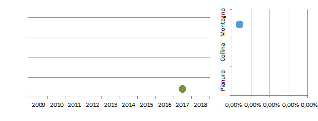 cotori_grafici.jpg