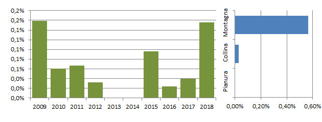 coturnice_grafici.jpg