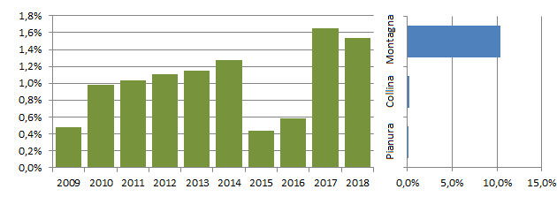 crociere_grafici.jpg