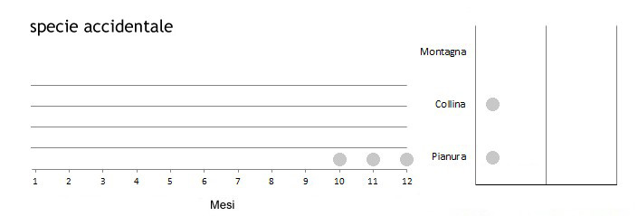 fannor_grafici.jpg