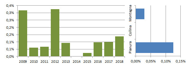 frullino_grafici.jpg