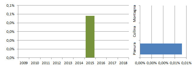 gabgla_grafici.jpg