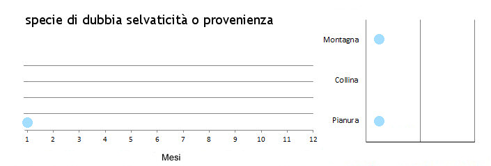 girfalco_grafici.jpg