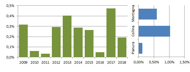 grillaio_grafici.jpg