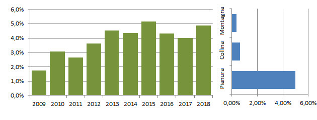 gruccione_grafici.jpg