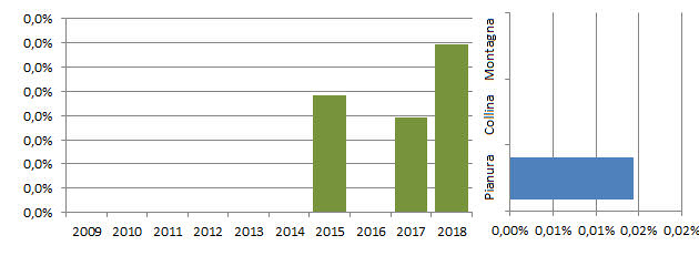 insfa_grafici.jpg