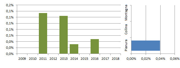 labcod_grafici.jpg