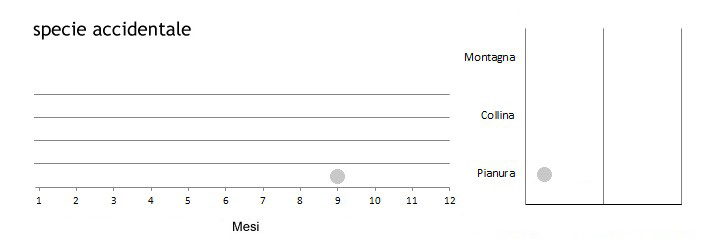 locflu_grafici.jpg