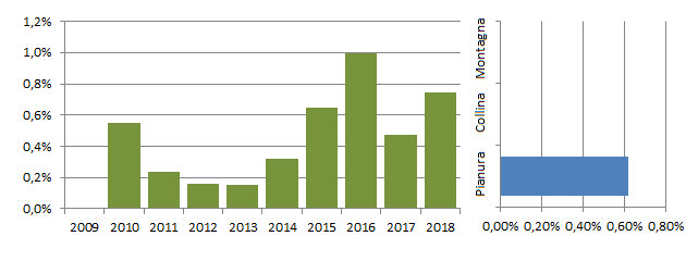 grafici