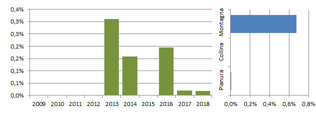 monachella_grafici.jpg