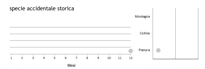 monded_grafici.jpg