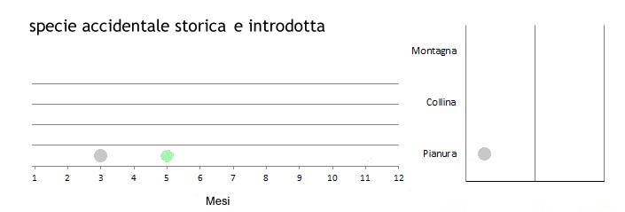 morarl_grafici.jpg