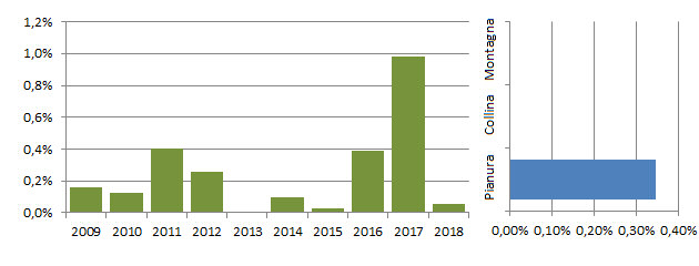 morcod_grafici.jpg