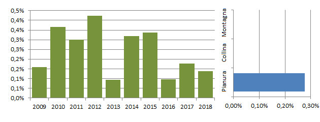 morgri_grafici.jpg