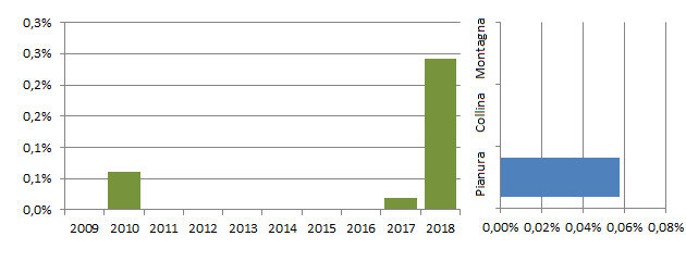 nibbia_grafici.jpg